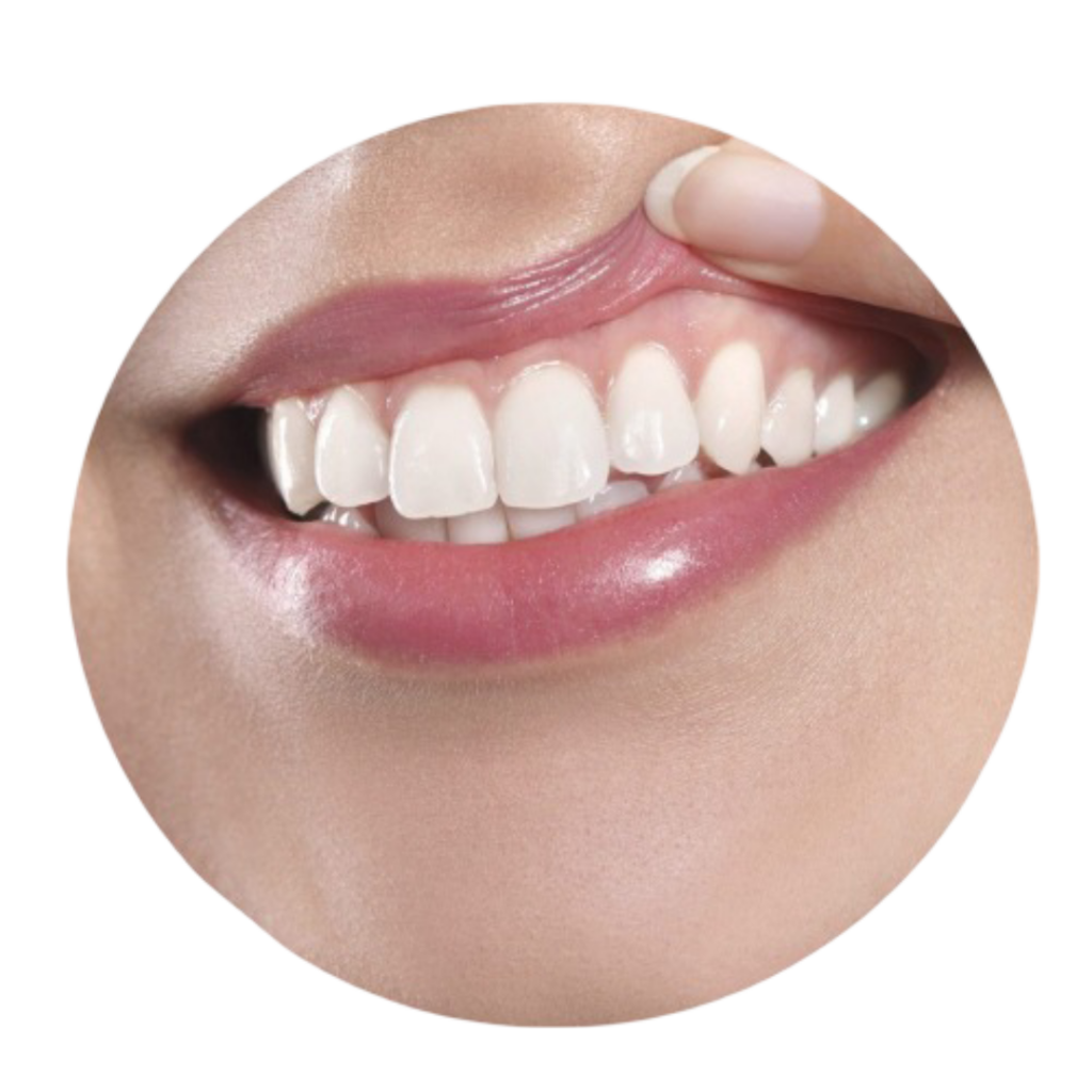 circulo-periodoncia
